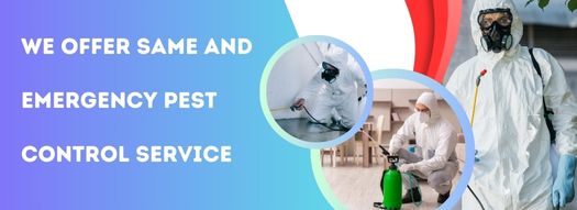 We Offer Same and Emergency Pest Control Service